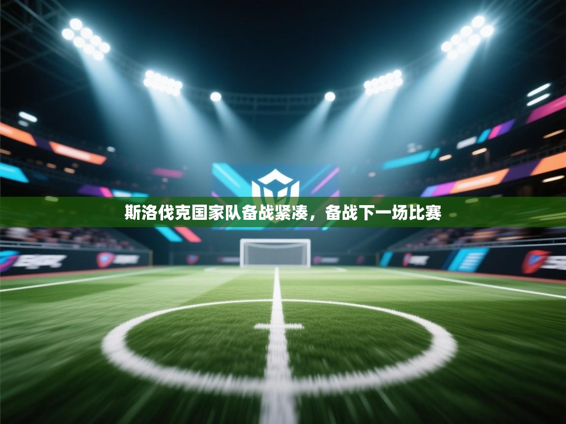 斯洛伐克国家队备战紧凑,备战下一场比赛 第1张