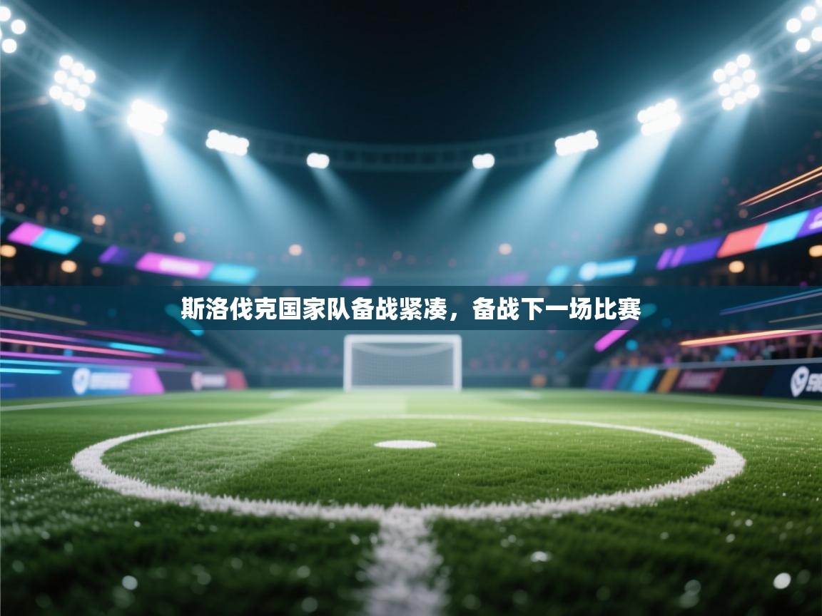 斯洛伐克国家队备战紧凑,备战下一场比赛 第2张