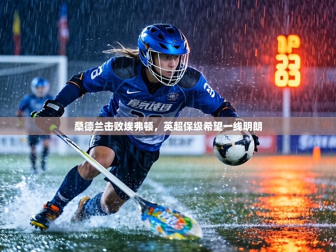 桑德兰击败埃弗顿，英超保级希望一线明朗  第1张